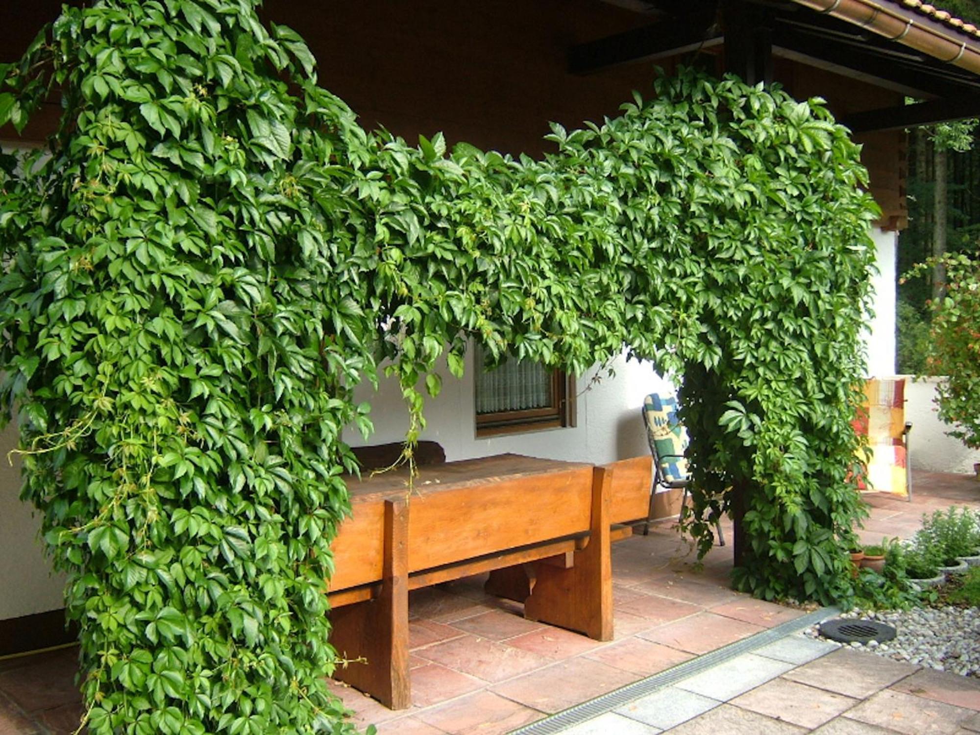 Haus Mayerbuechler - Chiemgau Karte Инцел Екстериор снимка